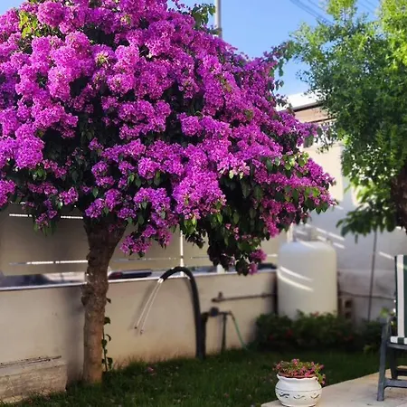 Holiday home Domus Parva, Con Giardino Pompei